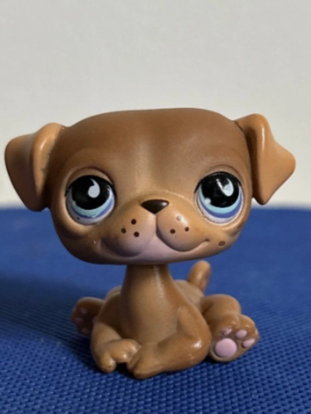 Littlest Pet Shop PUG DOG #901 W/ Accessory - Authentic